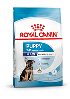 Сухой корм Royal Canin Maxi Puppy для взрослых собак больших размеров 15 кг от 2 до 15 месяцев