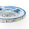 Світлодіодна стрічка AVT-300W3528-12 12В 60LED/m SMD2835 IP20 (для підсвітки) 4,8 Вт/м 7000К біла холодна, фото 4