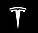 Штатна підсвітка двері з логотипом Tesla Model 3 Y S X, фото 8