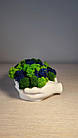 Долоні в гіпсовому кашпо зі стабілізованим норвезьким мохом зеленого та синього кольорів ручної роботи, фото 7
