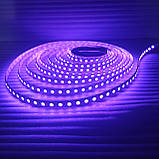 Комплект світлодіодної стрічки RGB 5 метров 96 LED/м 11W/м з регулюванням кольору і пультом ДУ з радіоканалом, фото 5