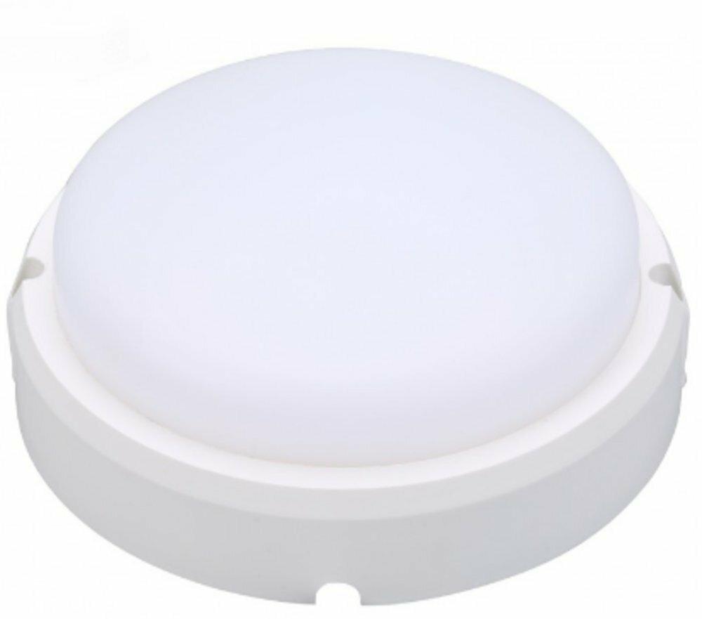 LED-світильник коло 12 w 4000 K IP65 (BSR-12N) LUXEL, фото 1