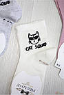 ОПТОМ Носки однотонні з котиком в окулярах "Cat Squad" для дівчинки (14/1-2 роки) Pier Lone 8681788405502, фото 2