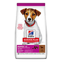 Сухий корм Hill’s Science Plan Puppy Smal&Mini для цуценят малих і мініатюрних порід, з ягням і рисом, 0,3 кг
