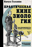 Практическая кинезиология. Как перевоспитать мышцы-халтурщицы