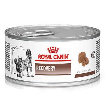 Вологий корм Royal Canin Recovery для кішок і собак в період відновлення після хвороби, 195 г