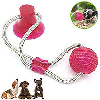 Игрушка мячик для собак мяч на веревке канат на присоске Красный Игрушки для домашних животных жевательная
