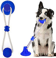 Игрушка мячик для собак мяч на веревке канат на присоске Синий Игрушки для домашних животных жевательная