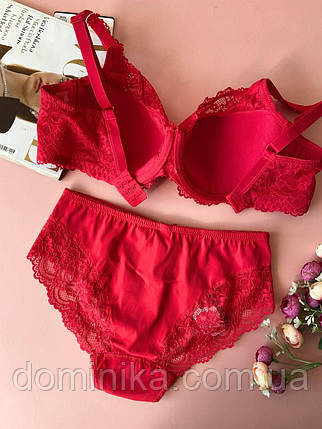 80/90/95Д Червоний мережевний комплект жіночої білизни на 4 розмір, фото 2