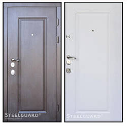 Двері вхідні Steelguard DP-1 Forte+