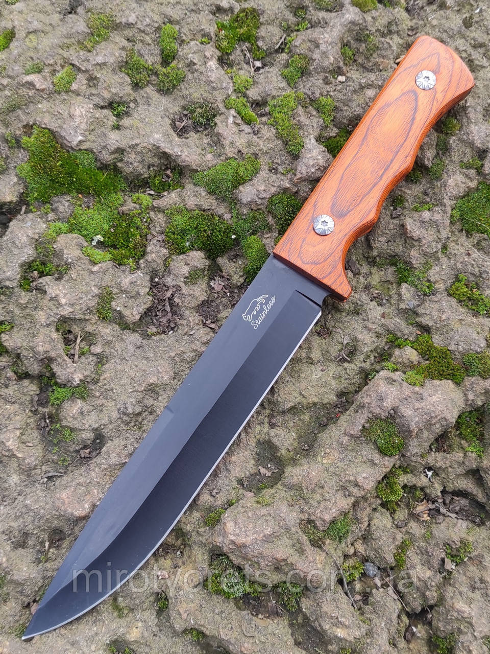 Ніж нескладний Columbia Stainless PR5524, фото 1