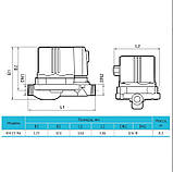 Насос для підвищувач. тиску Rudes RH15-9A, фото 3
