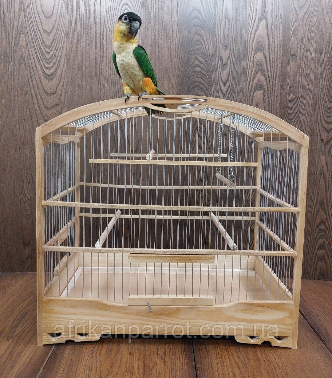 Клітина дерев'яна, фото 1