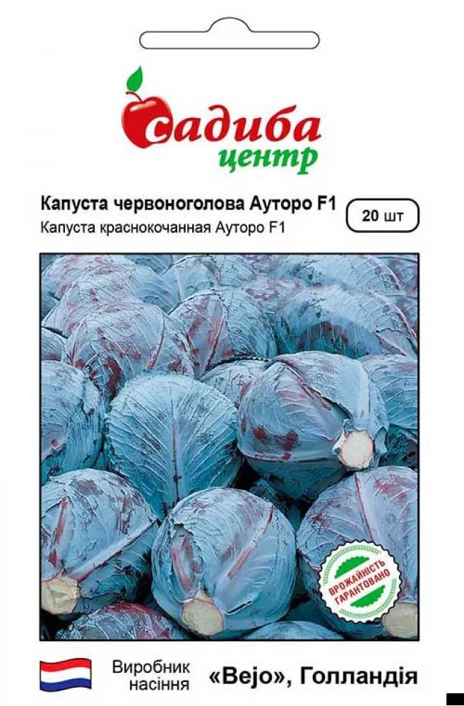 Капуста червоноголова Ауторо F1, 20 шт.(Нідерланди)