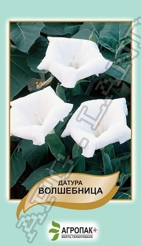 Купить Дурман (Датура) Волшебница - 20 семян А, цена 5.60 грн — Prom.ua ...