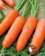 Морковь "Кордоба/ Cordoba" F1 (2,2-2,4 мм) 100 000 сем. Бейо (Bejo)