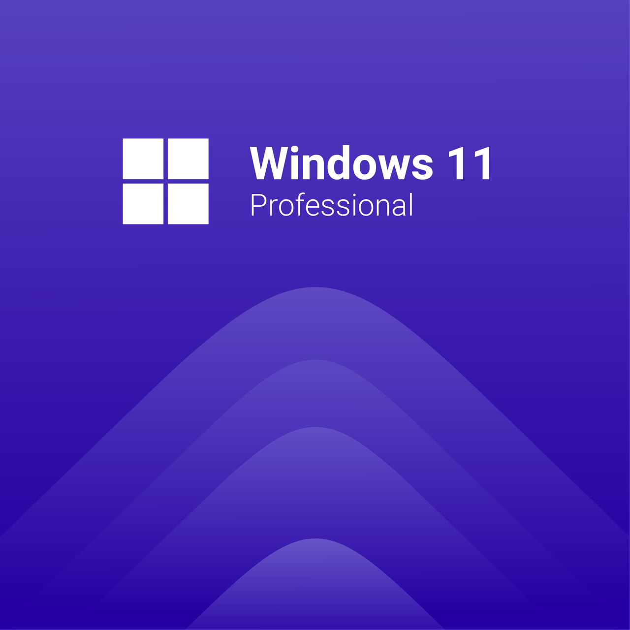 Купить Microsoft Windows 11 Pro (флешка с оригинальным дистрибутивом ...