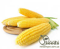 Семена сахарной кукурузы "Спокуса F1" 1 кг