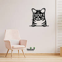 Панно Австралийская дымчатая кошка 20x20 см - Картины и лофт декор из дерева на стену.