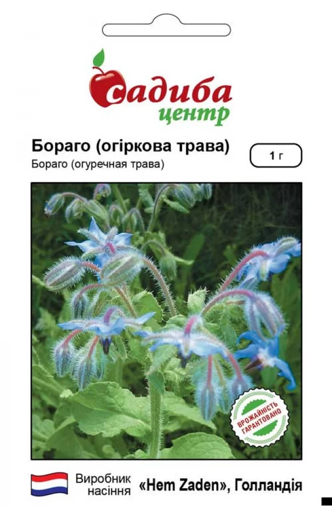 Бораго 1 гр. Hem Zaden BV, Нідерланди