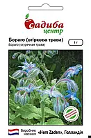 Бораго 1 гр. Hem Zaden BV, Нідерланди