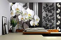Над кроватью 3д флизелиновые фотообои в спальню 312x219 см Фаленопсис белый (1299VEXXL)+клей