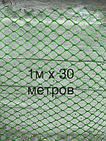 Сітка 1х30м пластикова для вольєру, осередок ромб 20*20 мм