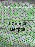 Сітка 1.2х30м садова пластикова рулонна, товщина 1,7 мм, осередок ромб 20*20 мм