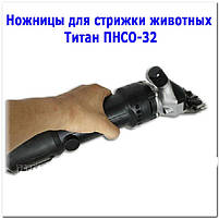 Ножиці для стрижки тварин Титан PNSO32, фото 6