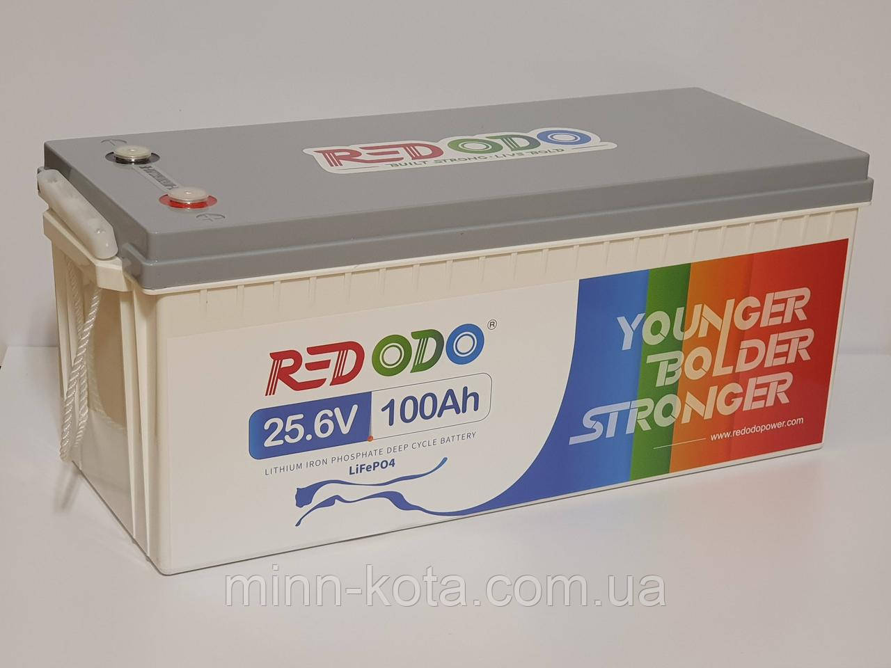 LiFePO4 аккумулятор Redodo 24В 100Ач, BMS 100A литий железо фосфатный ...