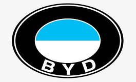Гумові килимки в салон для BYD (Бі Ай Ді)