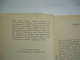 Рів'якина Н. Проблеми людини в італійському гуманізмі другої половини XIV — першої половини XV в (б/у, фото 5