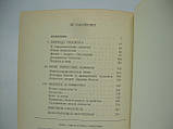 Рів'якина Н. Проблеми людини в італійському гуманізмі другої половини XIV — першої половини XV в (б/у, фото 6