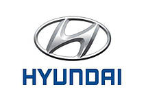 Гумові килимки в салон для Hyundai (Хюндай)
