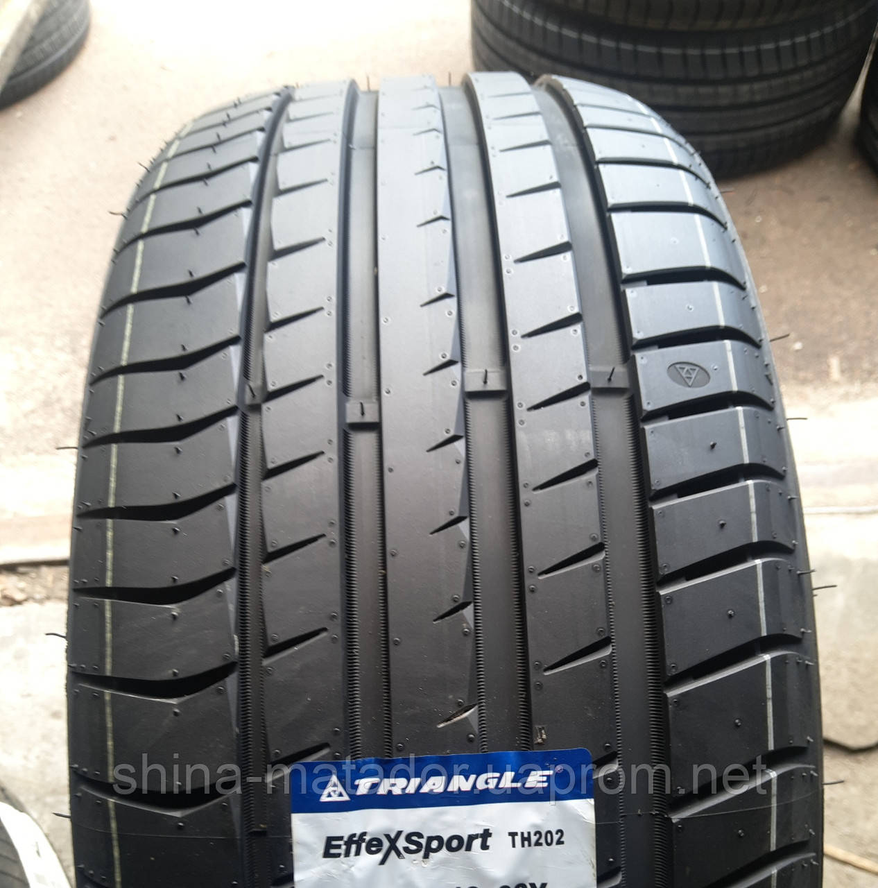 Шини 245/45 R18 100Y XL Triangle EffeXSport TH202