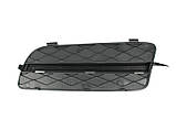 Решітка бампера (передня, права) BMW X5 (E70) (2007-2010) Blic, фото 2