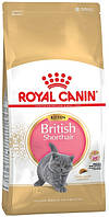 Royal Canin British Shorthair Kitten, 10 кг