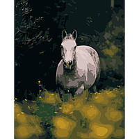 Картина по номерам Strateg Лошадь среди цветов размером 40х50 см (DY105)