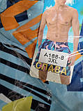 Чоловічі шорти "Слава" (M-L-XL-2XL-3XL), фото 3