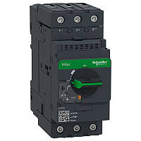 Автомат защиты двигателя Schneider Electric TeSys 30-40А 18,5 кВт Everlink (GV3P40)