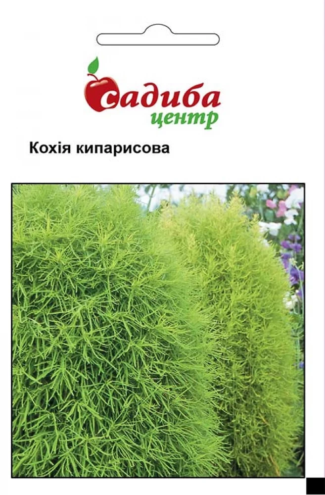 Кохія Кипарисова 0,5 г. Hem Zaden BV, Нідерланди