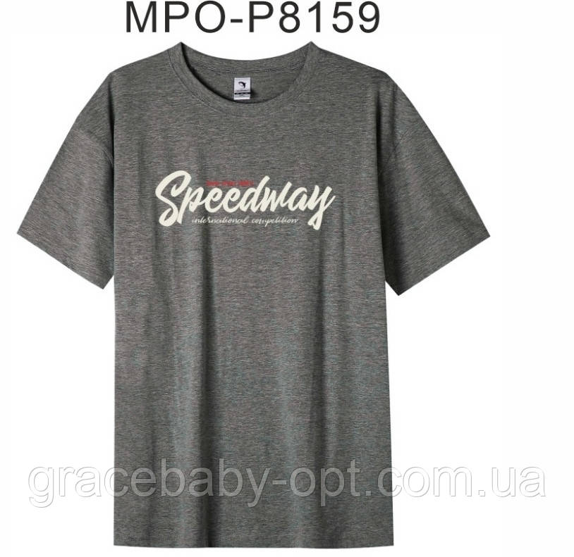 Футболкa чоловіча оптом, Glo-story, S-2XL рр, № MPO-P8159