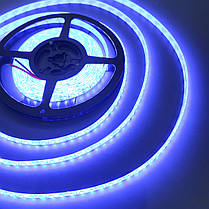 LED стрічка SMD2835 120шт/м 9W/м IP20 12V 11000K 1605, фото 3