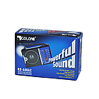 Радіоприймач на батарейках та від мережі Golon RX-А06АС / Потужний 4-хвильовий приймач / Радіоприймач ФМ, фото 10