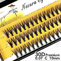 Nesura Eyelash Premium 30D, 0,07, изгиб C, 10 мм, 60 пучков Премиум Ресницы Несура 30д