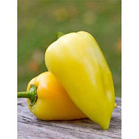 Насіння солодкого перцю Луміна (Елітний ряд), 30 насінин — середньостиглий сорт (110-125 днів), білозерка