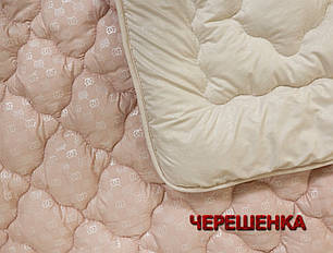 Демісезонне стьобане двоспальне Євро ковдра 195х215 см тепле двостороннє мікрофібра/ холофайбер бежеве з пудровим, фото 2