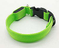 Светящийся LED ошейник с батарейками для собак для вечерних прогулок S (33-39 см) Зеленый