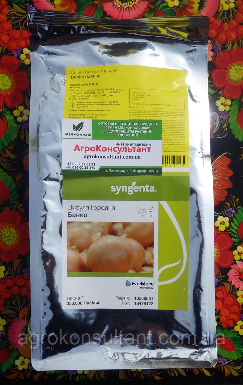 Насіння цибулі ріпчастої Банко F1 (Syngenta), 250 000 насінин — пізня (115-120 днів), високоврожайна, напівгостра