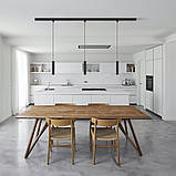 LED світильник підвісний трековий VIDEX 10W 4100K чорний, фото 3